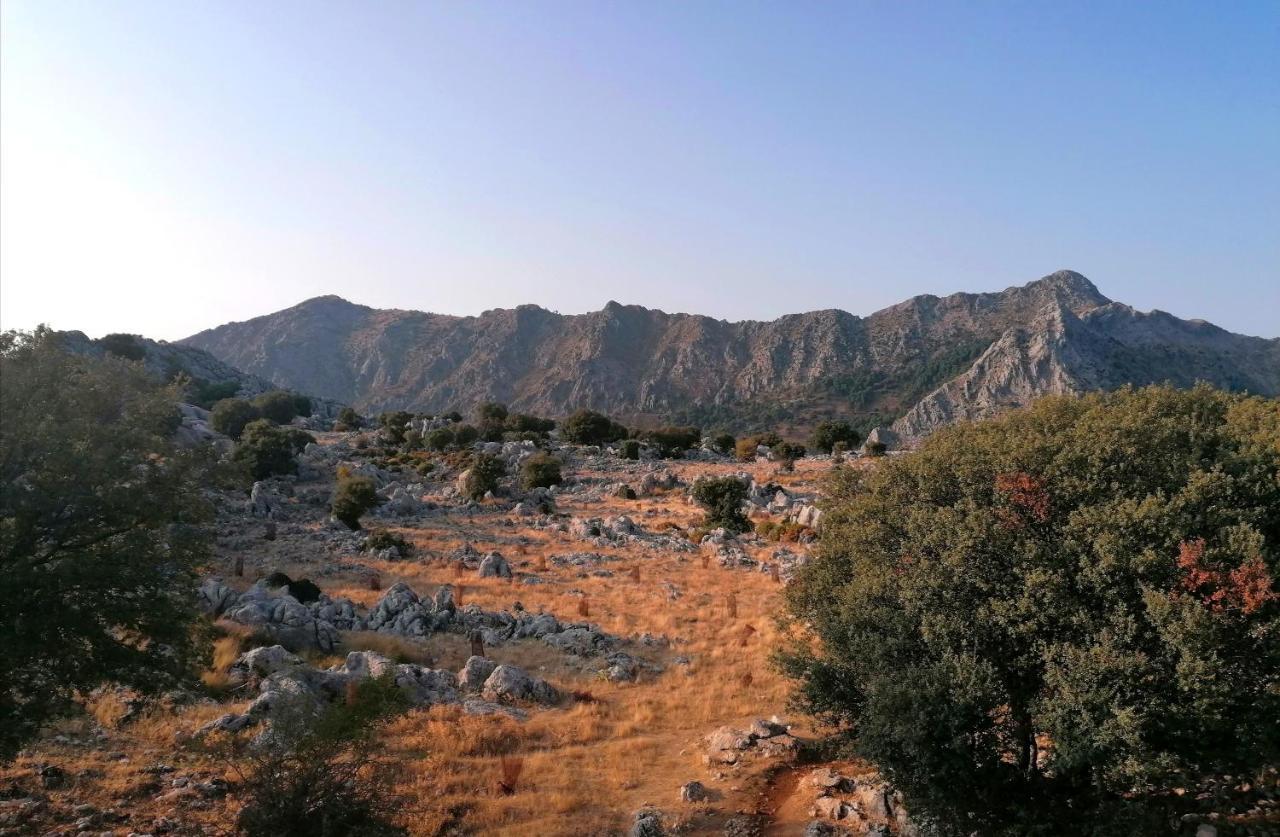 Casas Las Piedras De Agua Grazalema Exteriér fotografie